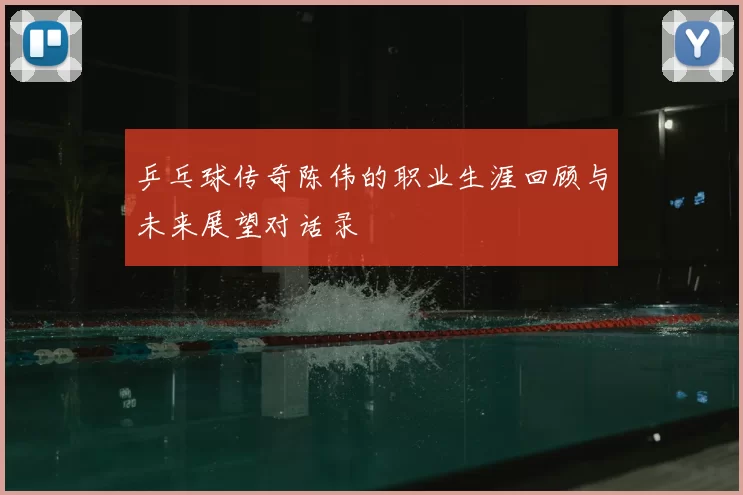 乒乓球传奇陈伟的职业生涯回顾与未来展望对话录