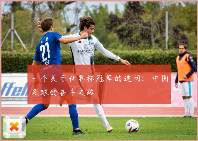 一个关于世界杯冠军的追问:中国足球的奋斗之路