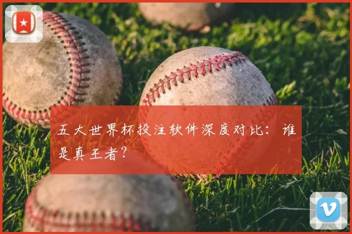 五大世界杯投注软件深度对比：谁是真王者？