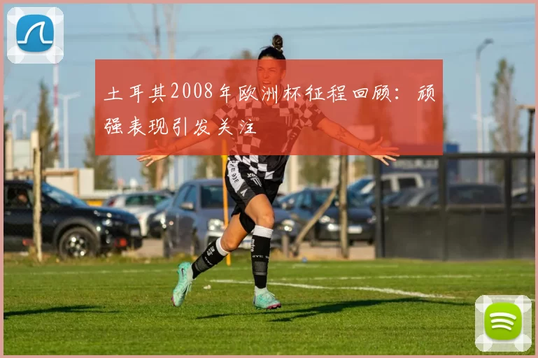 土耳其2008年欧洲杯征程回顾：顽强表现引发关注