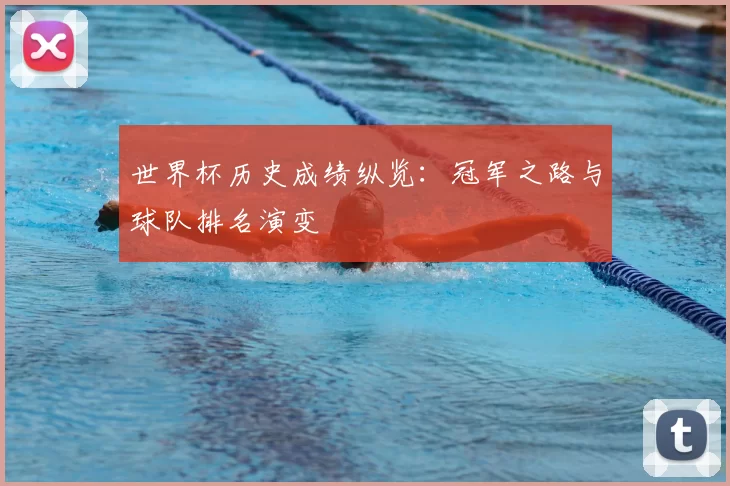 世界杯历史成绩纵览：冠军之路与球队排名演变