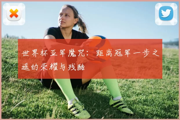 世界杯亚军魔咒：距离冠军一步之遥的荣耀与残酷