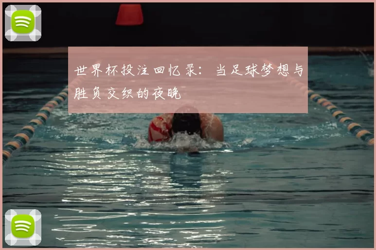 世界杯投注回忆录：当足球梦想与胜负交织的夜晚