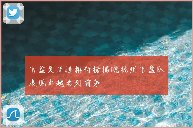 飞盘灵活性排行榜揭晓杭州飞盘队表现卓越名列前茅