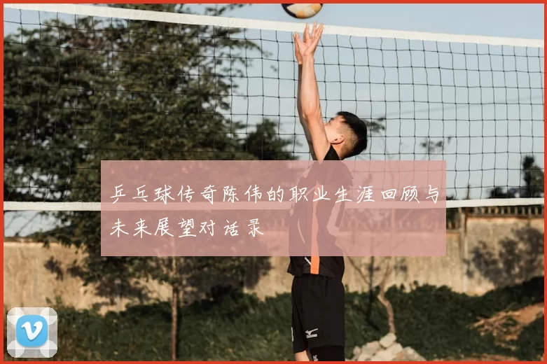 乒乓球传奇陈伟的职业生涯回顾与未来展望对话录
