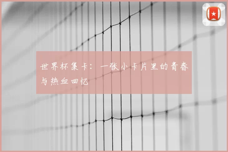 世界杯集卡：一张小卡片里的青春与热血回忆